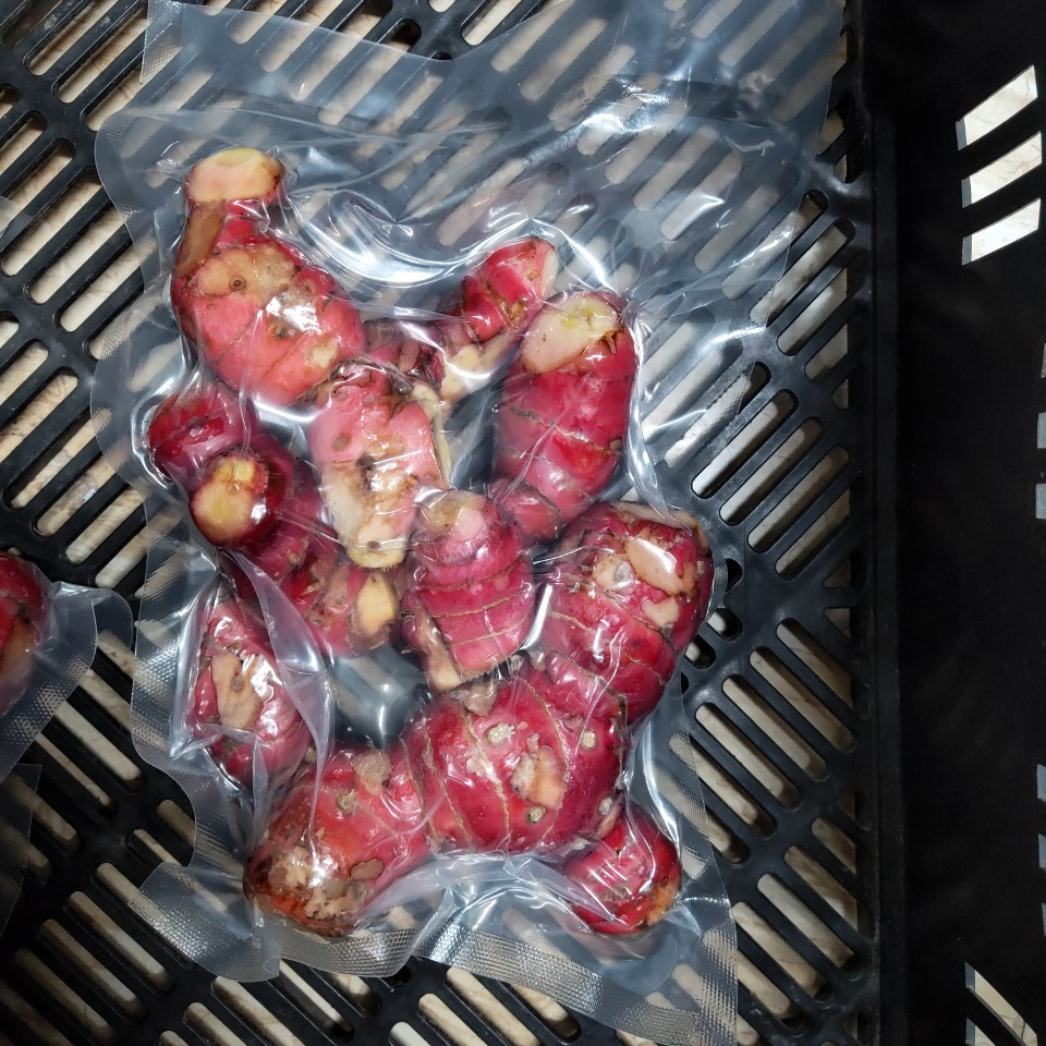 Оптовая продажа высококачественного свежего красного Имбиря из Вьетнама