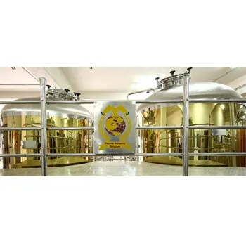 Zanaat bira ve mikro bira fabrikası bira mayalama ekipmanı | Bira sistemi