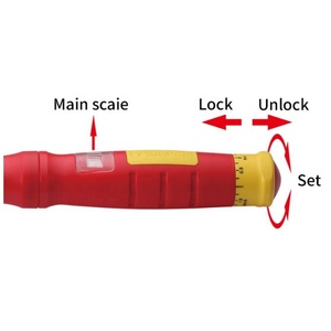 Clé dynamométrique isolée approuvée VDE/GS Type de clic bricolage/OEM de qualité industrielle personnalisable - Product Image 2
