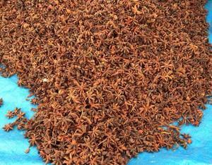 WS + 84359166896 Anis étoilé d'automne du Vietnam Qualité supérieure Anis étoilé séché Meilleur choix pour une livraison prête - Product Image 3