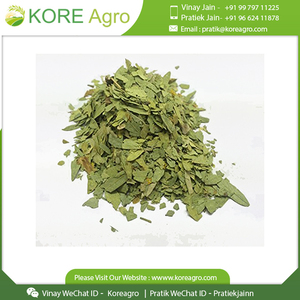 Hojas de Senna puras hechas de material estándar más reciente para la salud comprar al precio más bajo - Product Image 4