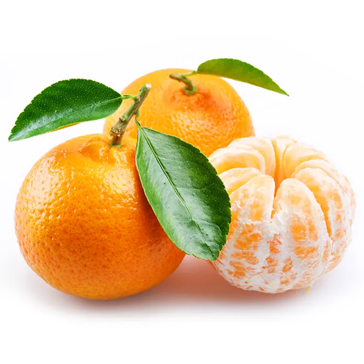 Frische zitrusfrüchte/Pongkam/ Lokam/Kanada orangen/Mandarin orangen/Kinnow