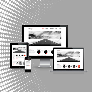 AngularJS-Desarrollo Web y aplicación móvil, alta calidad, asequible, en América del Norte y la India - Product Image 1