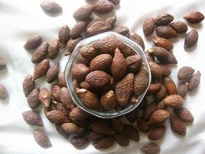 ส่วนลด Malva Nut/Sterculia Lychnophora,/Macromacropodum (WS: 0084987731263) - Product Image 4