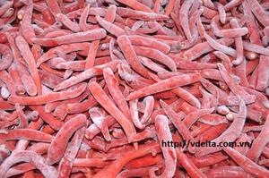Guindilla congelada de alta calidad, precio competitivo, fabricante de VIETNAM - Product Image 4