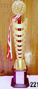 Trofeo para colegios deportivos, oficinas y programa cultural - Product Image 5