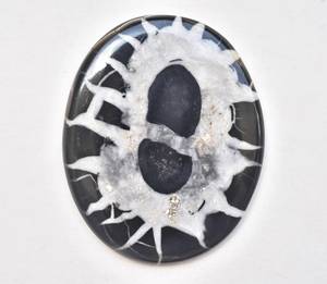 Cabochons araignée septum, grande taille, noir, pierres précieuses septum, Web de pierres précieuses - Product Image 2