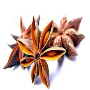 Flor de anís estrellado seca/vainas de anís estrellado entero de Vietnam para polvo de curry de alta calidad/Shyn Tran - Product Image 1
