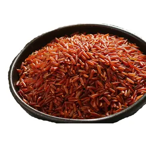 新作物长粒红米越南大米批发大米，具有ISO ITS出口认证
