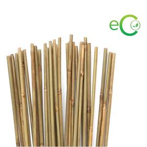 แท่งไม้ไผ่/เสาไม้ไผ่/เสาไม้ไผ่/ไม้เท้าไม้ไผ่สำหรับรองรับต้นไม้และสวนจาก ECO2GO เวียดนาม - Product Image 6