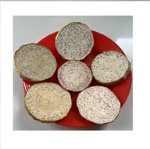 Tranches de Taro Frites Surgelées Épaisses 2 cm de Diamètre 6-8 cm Qualité Supérieure en Vrac - Product Image 1