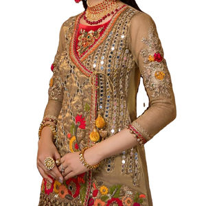 Shalwar Kameez-Bordado de Organza, impresionante, indio, paquistaní, hecho a mano - Product Image 1