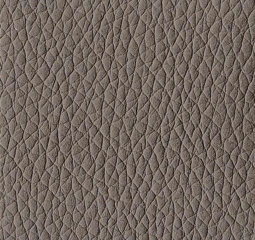 สีน้ำตาลอ่อน