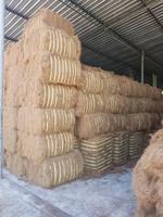 Mélange de fibres de coco sri-lankaise Fibre de noix de coco de qualité supérieure au meilleur prix pour les matelas, les brosses, les cordes et l'utilisation industrielle