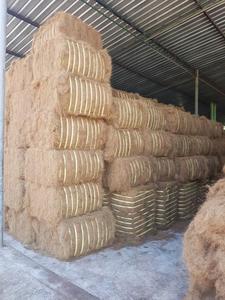 Mélange de fibres de coco sri-lankaise Fibre de noix de coco de qualité supérieure au meilleur prix pour les matelas, les brosses, les cordes et l'utilisation industrielle - Product Image 2