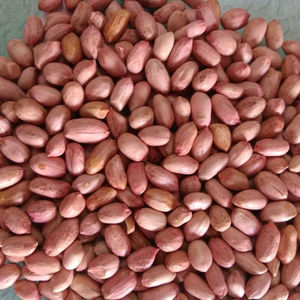 High Quality Peanuts, Ground Nut Crop Year - Product Image 2