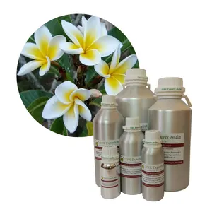 Frangipani Olie (Botanische Naam: Plumeria Alba)