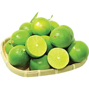 Lemon export good price Natural Fresh Lime - Fresh green seedless lime and lemon form Vietnam for export //Rachel:+84896436456