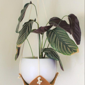 Leather Plant <b>Hammock</b> Hanging Macrame Plant Hanger - Product Image 1