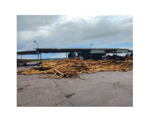 CHIPS de madera de ACACIA, para uso en papel INDUSTRIAL, vietnamita - Product Image 3