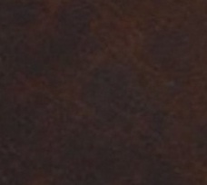 สีน้ำตาลเข้ม