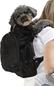 <b>Backpack</b> <b>Carrier</b> Bag Transparent Design Pet <b>Dog</b> Cat Travel/Walking - Product Image 4