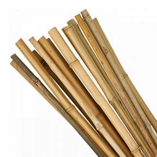 Palo de bambú Natural para decoración interior y exterior, palo de bambú Natural, el mejor precio