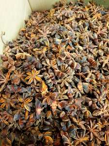 Vietnam anis étoilé séché épicé AD mélangé nouvelle récolte 2025 de l'usine Phalco à des prix bon marché - Product Image 3