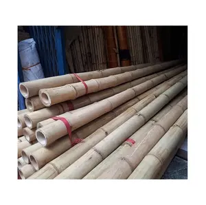 Pagar Bambu Tiang Bambu Alami Kualitas Tinggi dari VIETNAM