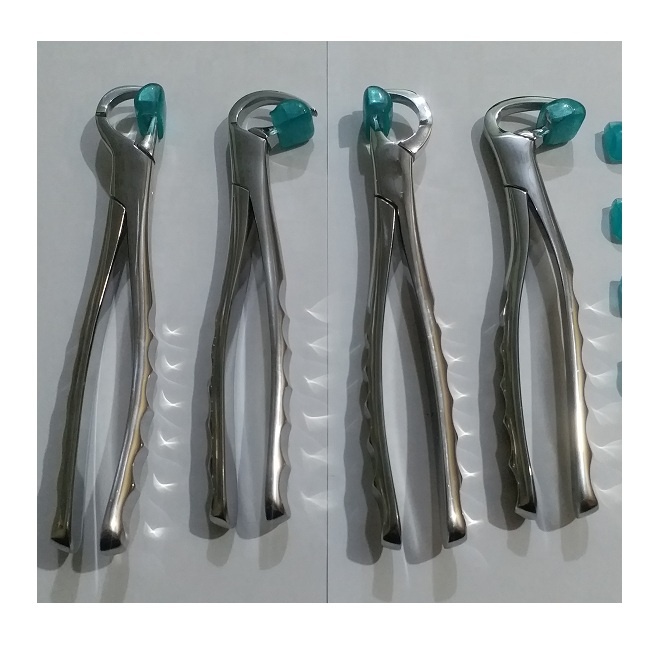 Dental Extraction Forceps Standard Series Set of 4 Pcs
