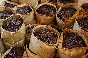 Fèves de vanille de Madagascar, fèves de vanille en kg, fèves de vanille au meilleur prix à vendre - Product Image 4