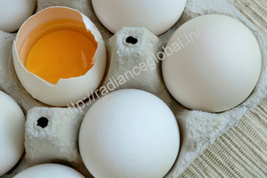 Œufs de poule - Product Image 2
