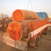 Bois de Tali du Cameroun d'Afrique avec une esthétique exceptionnelle - Prix négociable et taxes réduites