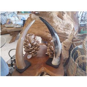 Corne décorative de meilleure qualité polie et base en bois artisanat naturel taille personnalisée corne décorative en bois à vendre - Product Image 1