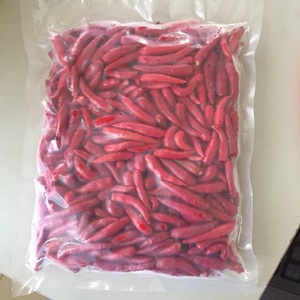 พริกเขียวออแกนิกเกรดพรีเมี่ยมจากโรงงานเวียดนามผลิตภัณฑ์ทางการเกษตรสดที่เข้มข้นรสชาติร้อนแรงสำหรับ spicing จานทั่วโลก - Product Image 3