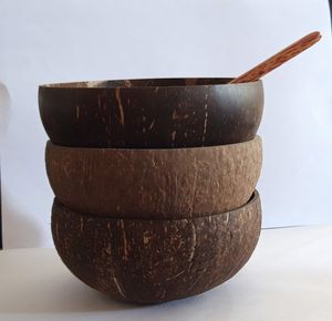 ชามมะพร้าวธรรมชาติชุด/ที่กำหนดเองการออกแบบมะพร้าวชามด้วยช้อน/ที่ขายดีที่สุดแกะสลักชามมะพร้าวที่มีกล่องพิมพ์ ACAIA ชาม - Product Image 3