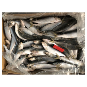 太刀魚ベトナム批发采购 太刀魚ベトナム供应商和批发商 Alibaba 太刀魚ベトナム批发采购 太刀魚ベトナム供应商和批发商 Alibaba