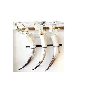 Pièce maîtresse décorative à 5 cornes et taille personnalisée et support mural en métal poli et en corne naturelle - Product Image 3