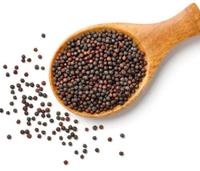 99.99% Purity Rape Seeds / Canola Seeds/non-gmo Rapeseed Canola Seeds