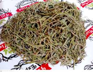 Rosemary - Rosmarinus Officinalis compas planta o planta polar Rosmarinus es rocío del océano - Product Image 2