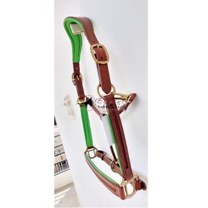 Qualité supérieure Châtaigne Cheval Équestre Halter Vert Cuir Rembourré avec Canal Vide sur le Nez Pièce de Joue Quincaillerie Dorée - Product Image 2