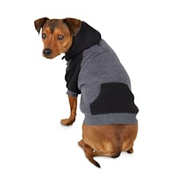 <b>Dog</b> <b>Clothes</b> New Arrival Latest <b>Design</b> Wholesale Custom <b>Design</b> - Product Image 3