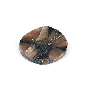 Sanatona 29,55 Cts Freeform Flat Chiastolite Piedra preciosa suelta 27x23mm Piedra natural - Product Image 1