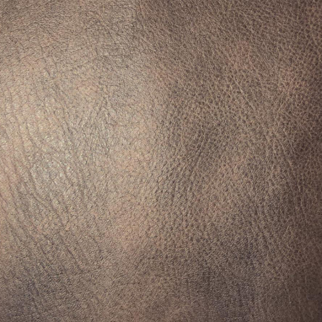 ไม้มะเกลือ