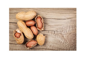 Đậu Phộng (Mặt Đất Đai Ốc) Việt Nam ORGIRIN - Product Image 2