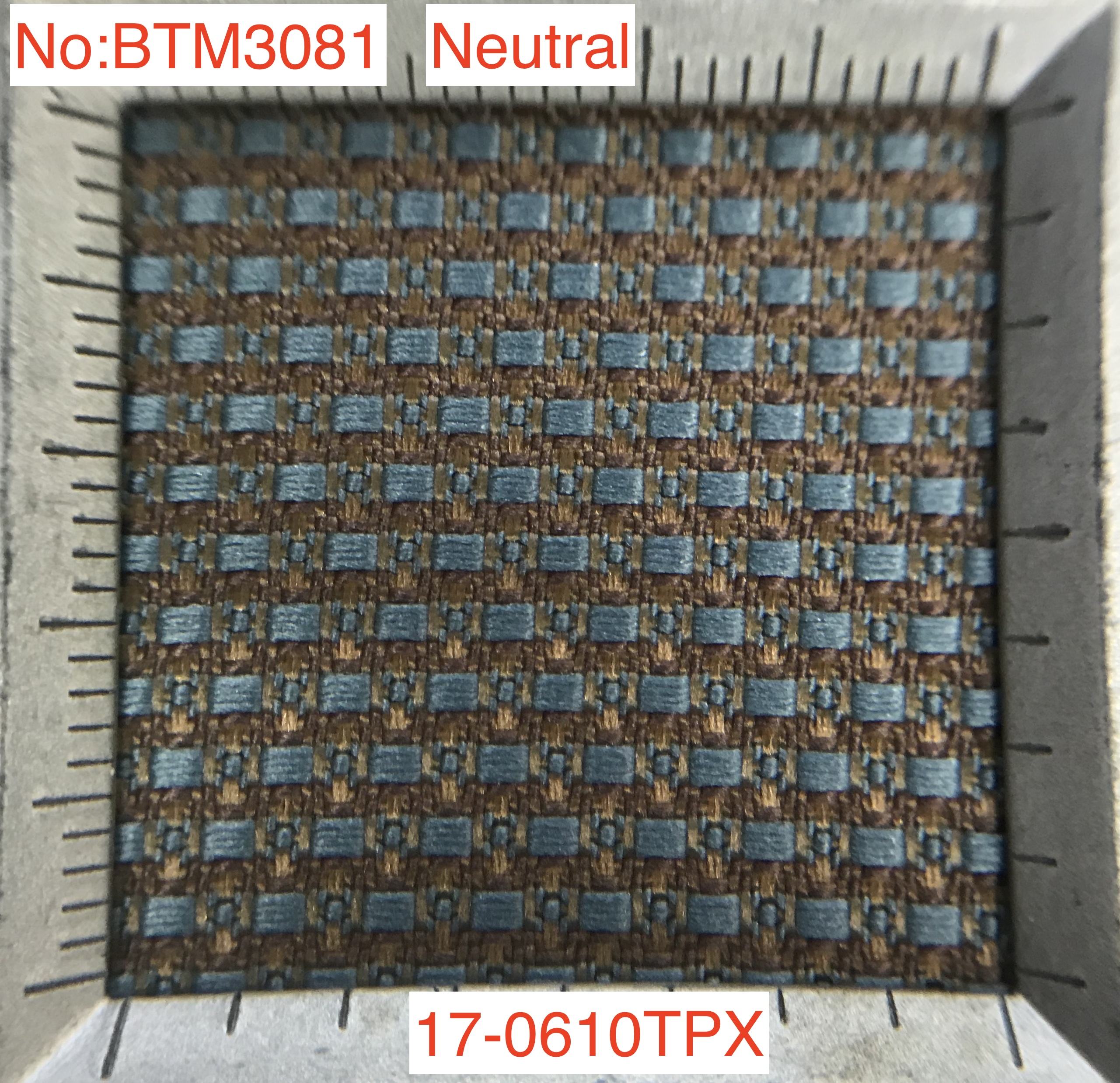 Neutral 17-0610TPX