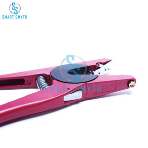 Équipement personnalisé pour pince à marquer les oreilles de porc, pince d'identification 2026, instruments vétérinaires de haute qualité - Product Image 4