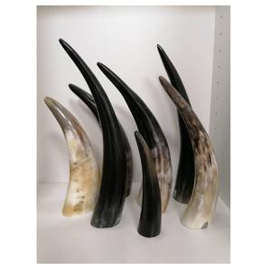 วัวแตรธรรมชาติฮอร์นสีร้อนขายที่มีคุณภาพที่ดีที่สุดผลิตภัณฑ์ตกแต่งฮอร์นขายส่งสินค้าที่มีการขาย - Product Image 2