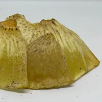 Endonezya Gluten ücretsiz olmayan gdo Breadfruit cips hindistan cevizi yağı özelleştirilmiş ambalaj ve özelleştirilmiş tatlandırıcı