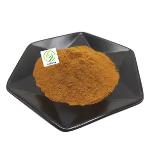 Wholesale Natural Rhodiola Rosea Root Extract Powder 3% Rosavin 3% Salidrosides Rhodiola Rosea Extract